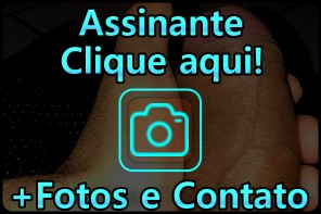 assinantes + fotos e contatos dos garotos de programa